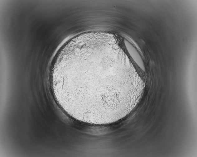 X0000083601091200703091736