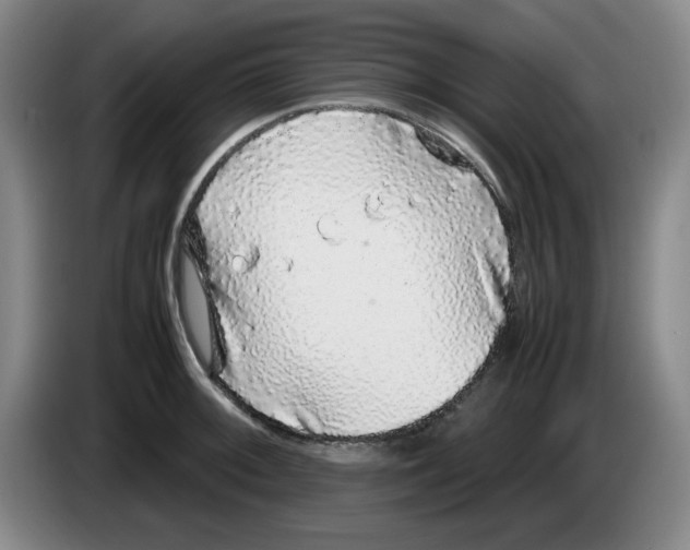 X0000083601092200703091736