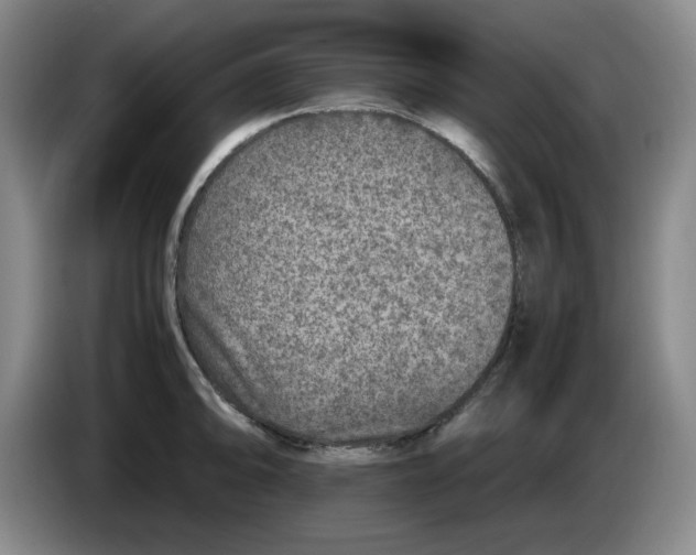 X0000083601094200703091736