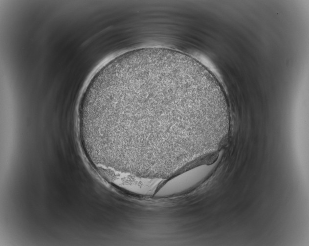 X0000083601096200703091736