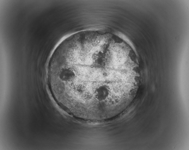 X0000083601099200703091736