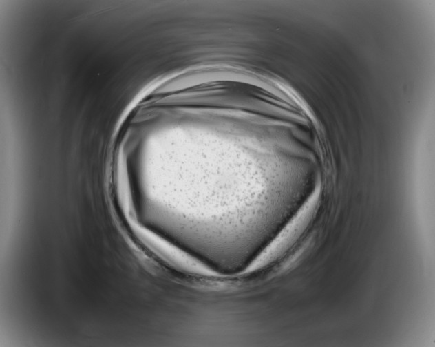 X0000083601101200703091736