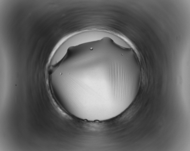 X0000083601102200703091736