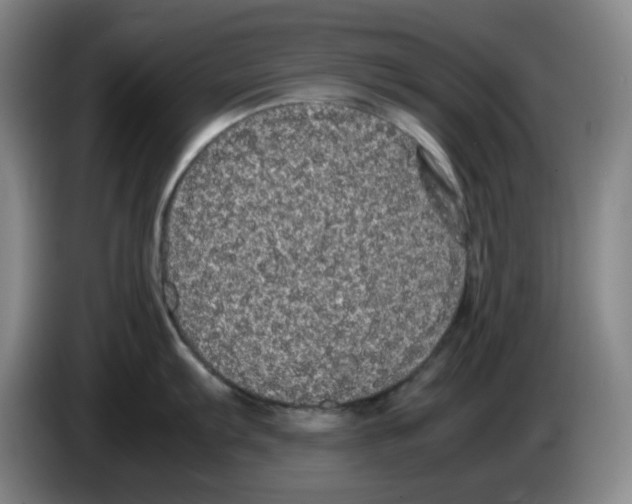 X0000083601103200703091736