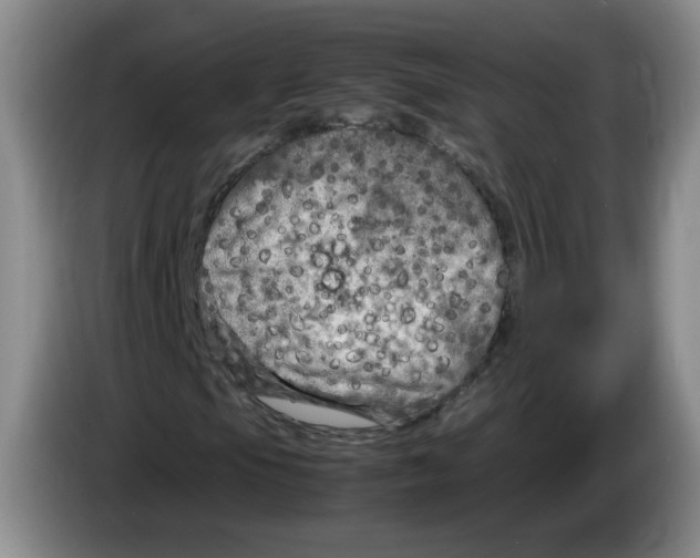 X0000083601105200703091735