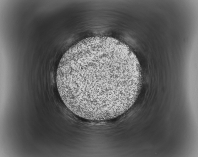 X0000083601106200703091735