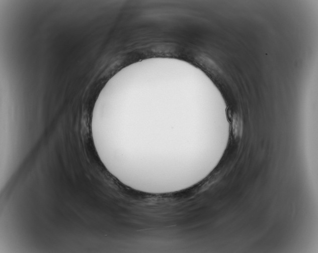 X0000083601107200703091735