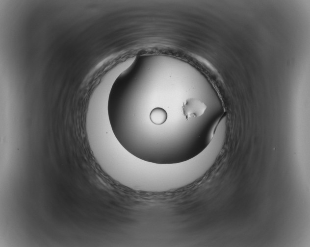 X0000083601112200703091735