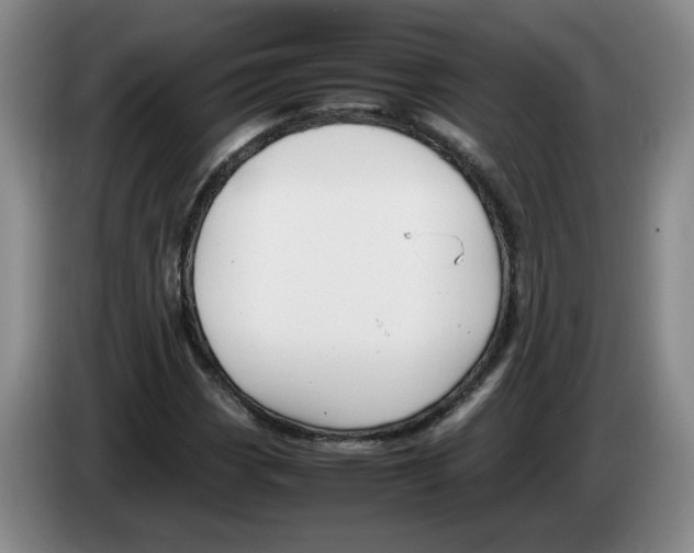 X0000083601113200703091735