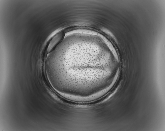 X0000083601114200703091735