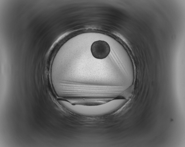 X0000083601115200703091735