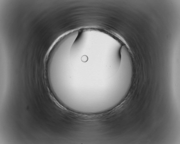 X0000083601116200703091735