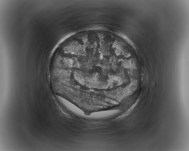 X0000083601117200703091735