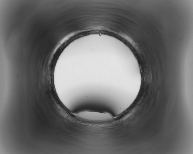 X0000083601118200703091735