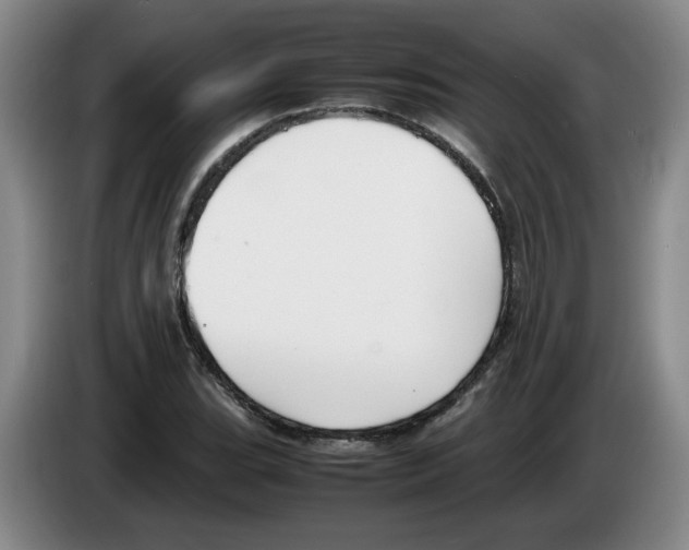 X0000083601119200703091735