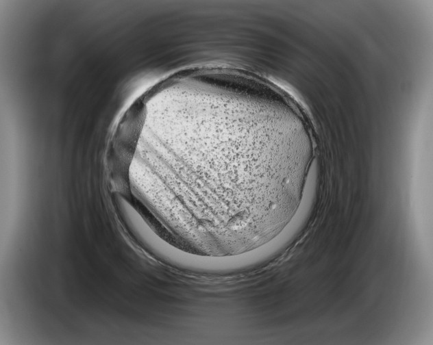 X0000083601120200703091735