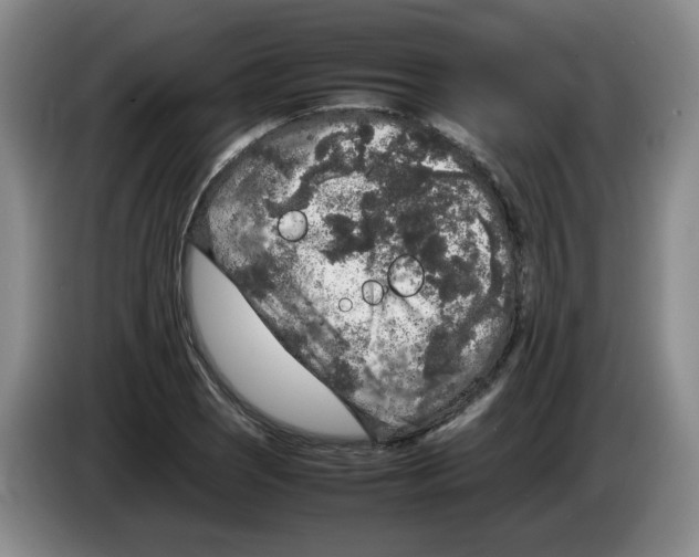 X0000083601121200703091735