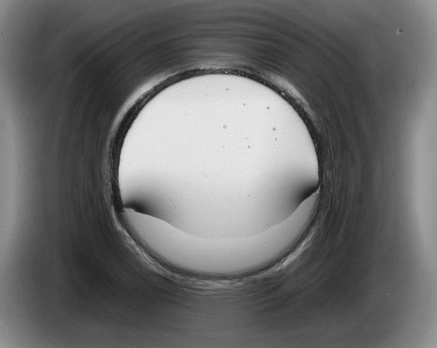 X0000083601122200703091735