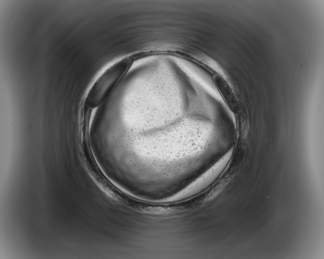 X0000083601124200703091735