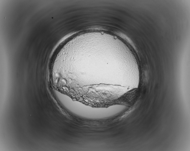 X0000083601125200703091735