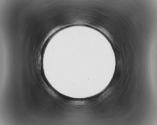 X0000083601126200703091735