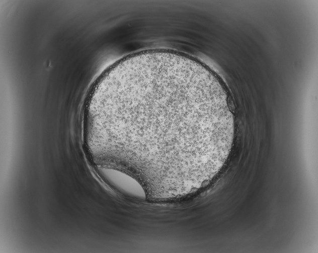 X0000083601127200703091735