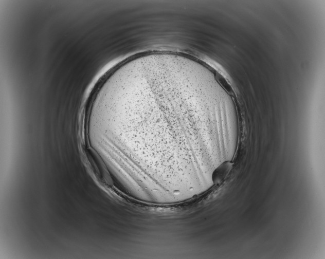 X0000083601128200703091735