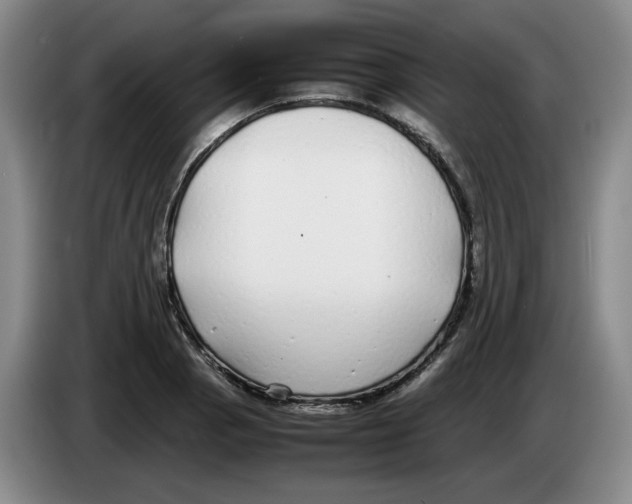 X0000083601129200703091735