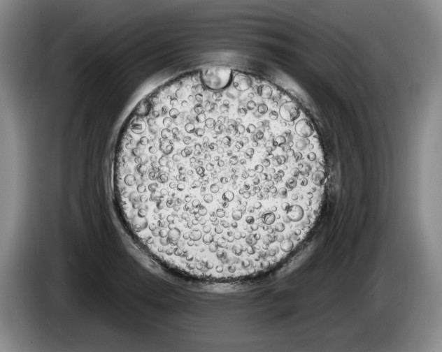 X0000083601130200703091735