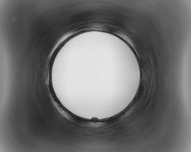 X0000083601131200703091735