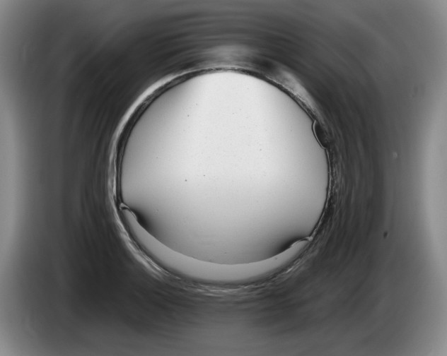 X0000083601132200703091735