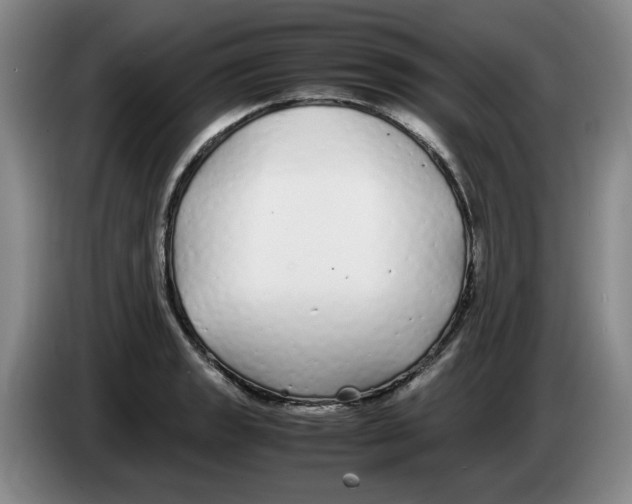 X0000083601133200703091735