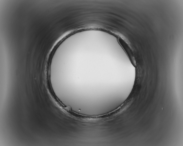 X0000083601134200703091735