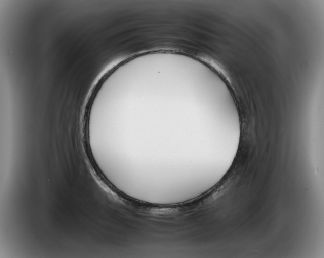 X0000083601135200703091736