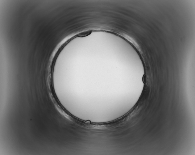 X0000083601136200703091736