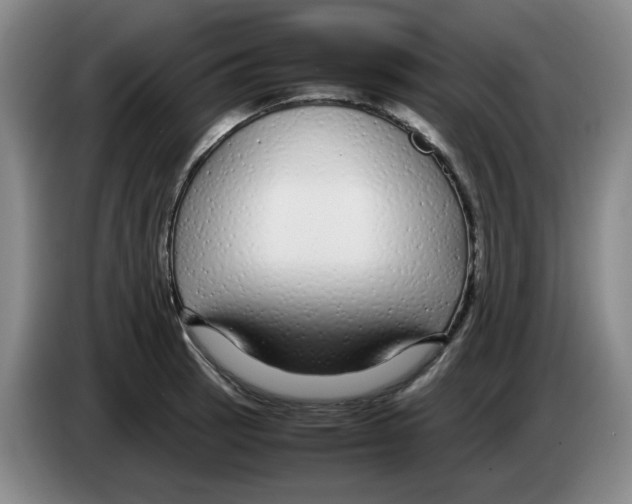 X0000083601137200703091736