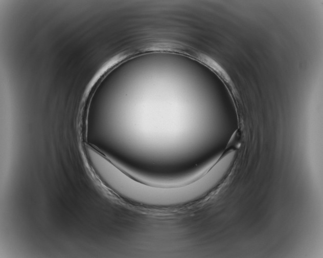 X0000083601138200703091736