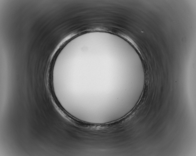 X0000083601139200703091736