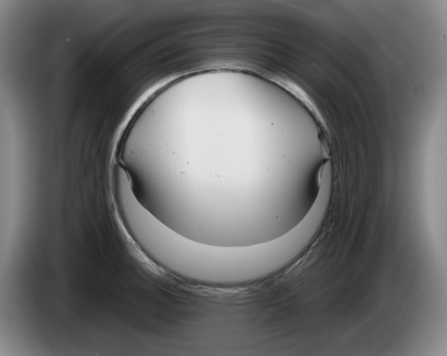 X0000083601140200703091736