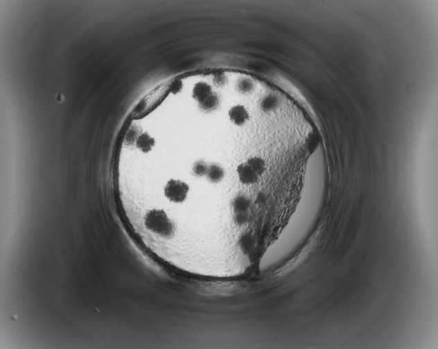 X0000083601141200703091736