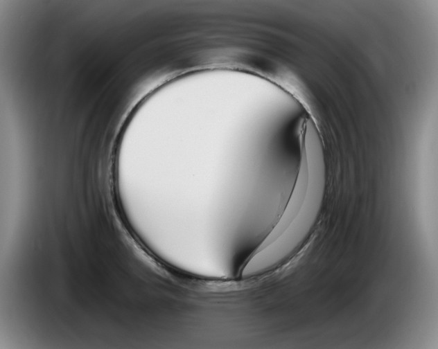 X0000083601142200703091736