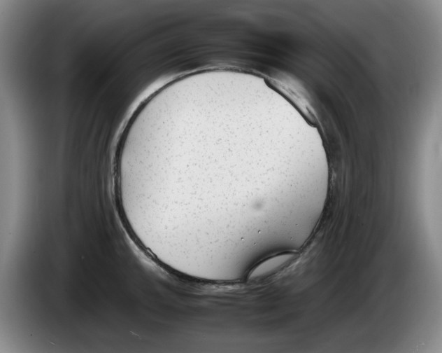 X0000083601143200703091736