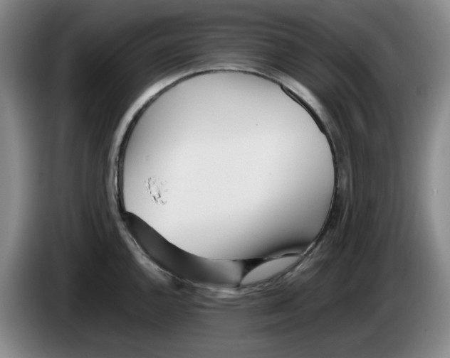 X0000083601144200703091736