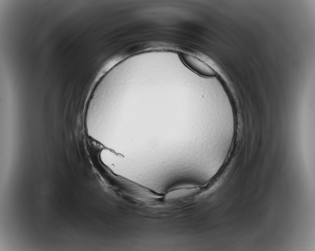 X0000083601145200703091736