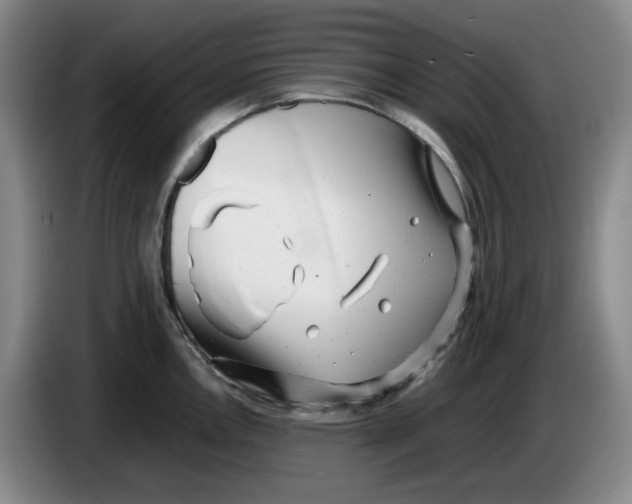 X0000083601146200703091736