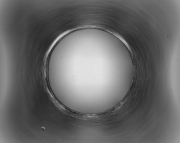 X0000083601148200703091736