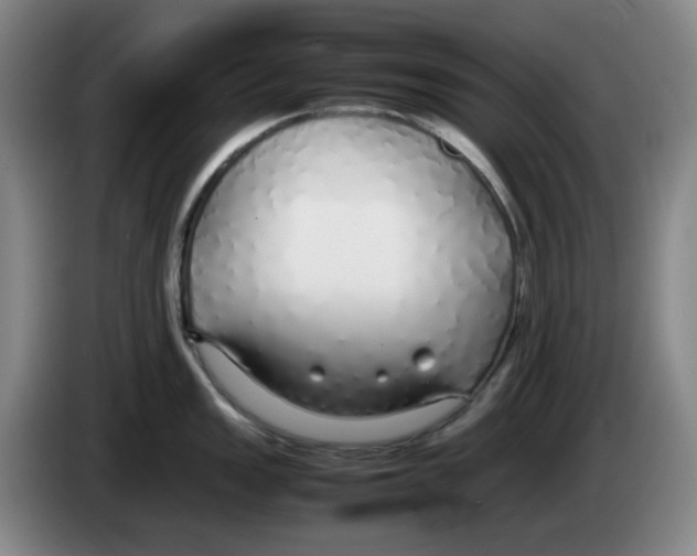 X0000083601149200703091736