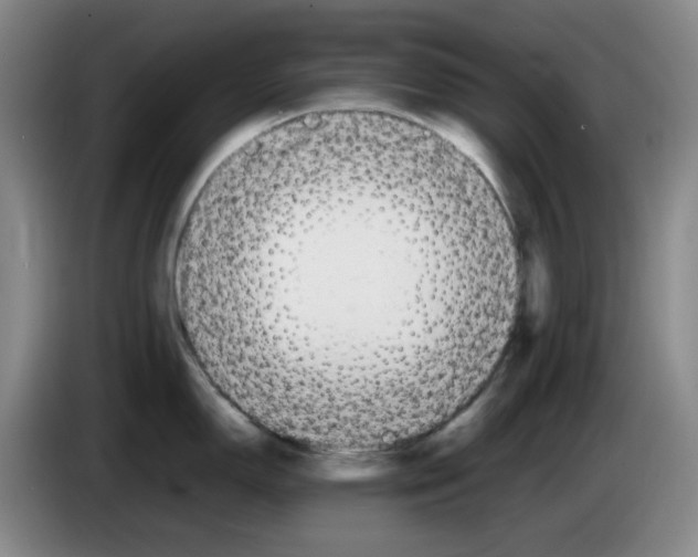 X0000083601150200703091736