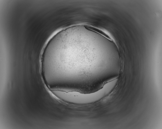 X0000083601151200703091736