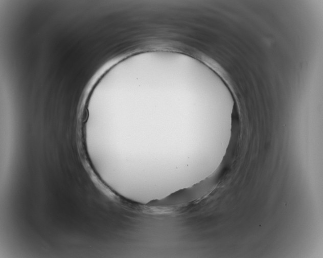 X0000083601152200703091736